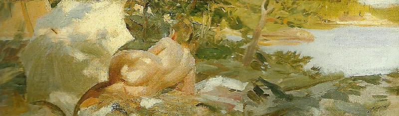 Anders Zorn solbad pa dalaro